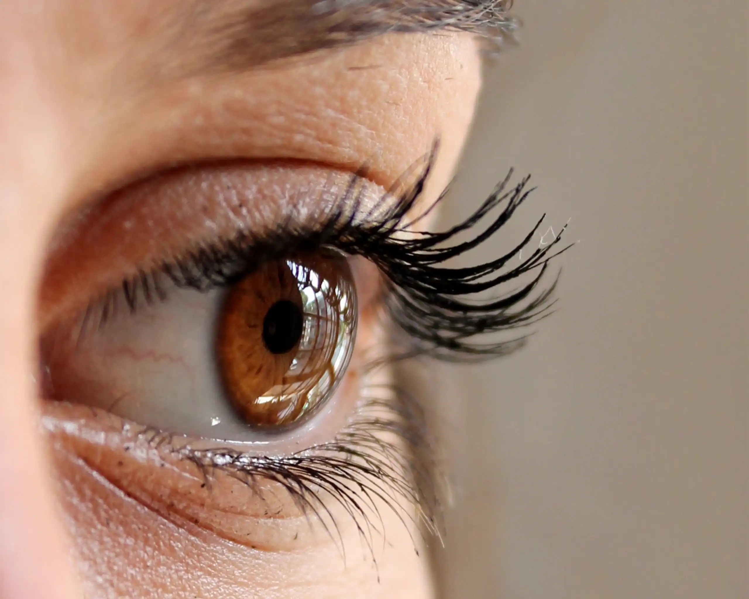 A close up of a person's eyes, with long lashes, brown eyes, and an arched eyebrow.
